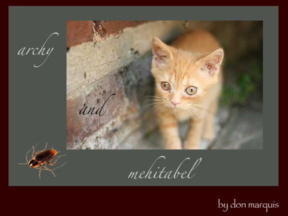 archy and mehitabel
